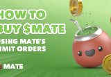 How To Buy $MATE without leaving Mate